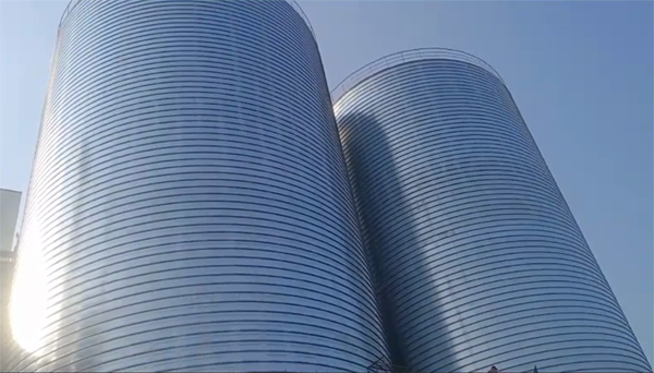 石林2座混凝土高架卷板仓